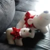 Oso Polar