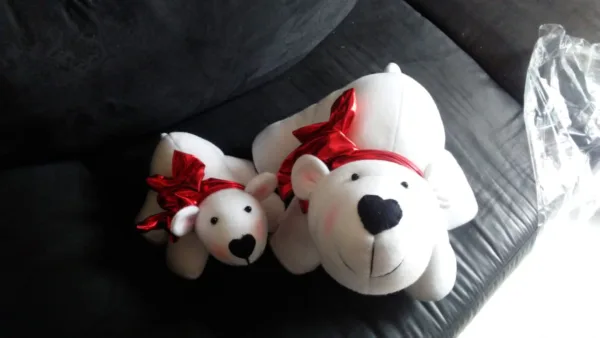 Oso Polar