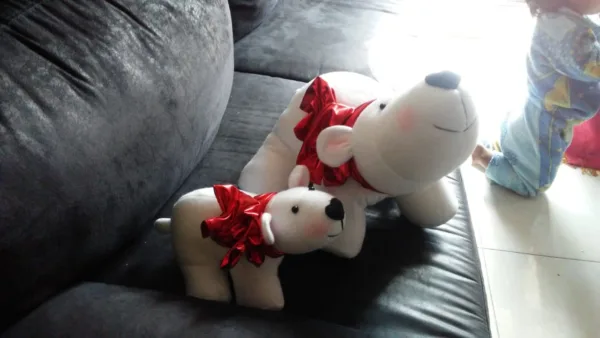 Oso Polar